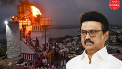 તમિલનાડુની સ્ટાલિન સરકારની મંદિરમાં દીપ પ્રાગટ્ય પર રોક, હાઇકોર્ટના ચુકાદા વિરુદ્ધ સુપ્રીમ કોર્ટ પહોંચી