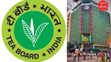 ટી બોર્ડના નિર્ણય મુજબ, નેશનલ પ્રોડક્ટિવિટી કાઉન્સિલ કર્મચારીઓના પુનર્ગઠનનો અભ્યાસ કરી રહી છે.