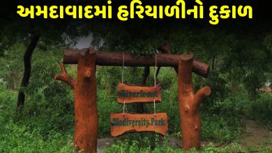 વિકાસની વાસ્તવિકતાઃ અમદાવાદમાં મુંબઈથી પણ ઓછી ખુલ્લી જાહેર જગ્યા