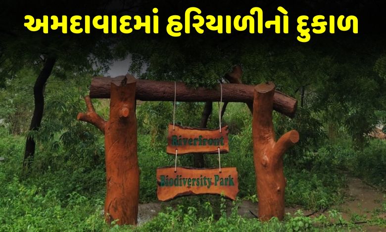 વિકાસની વાસ્તવિકતાઃ અમદાવાદમાં મુંબઈથી પણ ઓછી ખુલ્લી જાહેર જગ્યા