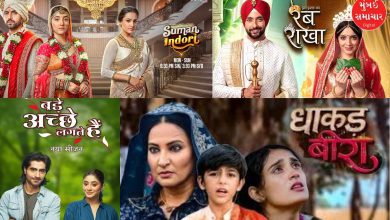 ઓછી TRP અને નબળા પ્રતિસાદને કારણે 2025માં આ લોકપ્રિય ટીવી શો પર લાગ્યા તાળા.