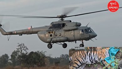 હેલિકોપ્ટર દ્વારા એરલિફ્ટ કરવામાં આવતી વાઘણ અને વન વિભાગની ટીમ.