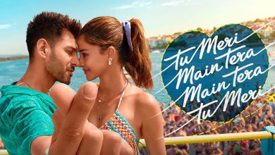 ક્રિસમસ પર કાર્તિક-અનન્યાનું કમબેક ફ્લોપ: 'તું મેરી મેં તેરા, મેં તેરા તુ મેરી'નું બોક્સ ઓફિસ પર સુરસુરિયું!