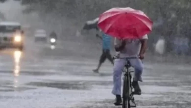 ગુજરાતમાં કમોસમી વરસાદને કારણે ખેતરમાં પલળેલો પાક અને ચિંતિત ખેડૂતોનું પ્રતીકાત્મક ચિત્ર.