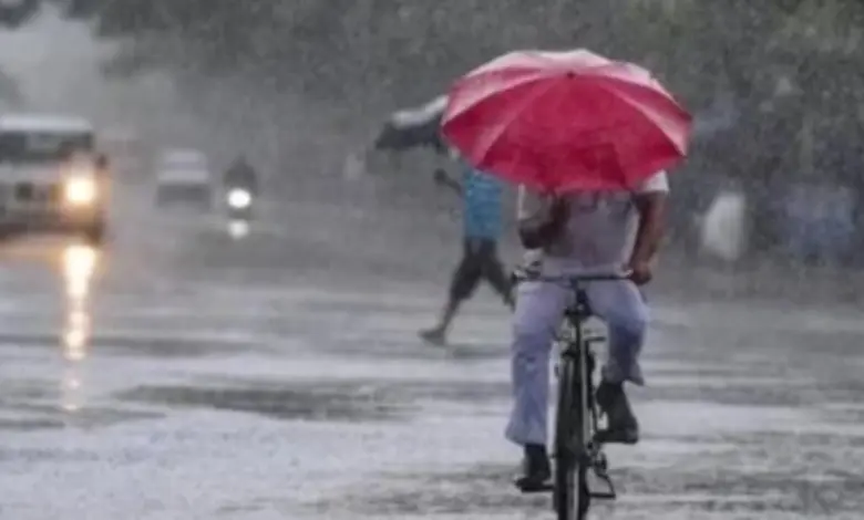 ગુજરાતમાં કમોસમી વરસાદને કારણે ખેતરમાં પલળેલો પાક અને ચિંતિત ખેડૂતોનું પ્રતીકાત્મક ચિત્ર.