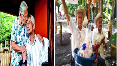 લાંબા- સ્વસ્થ જીવન માટે સૌ દોડી જાય છે નિકોયા