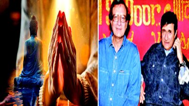 શું હિંસા પરમ ધર્મ છે ફિલ્મોનો?