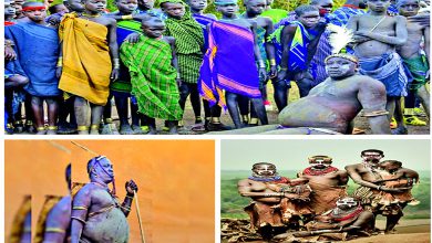 જાડા નરને શોધીને હીરો જાહેર કરી દો!