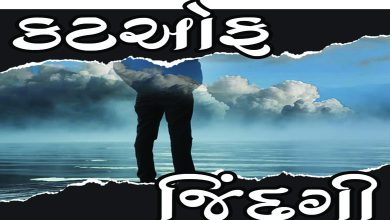 થીજી ગયેલી પળમાં ફફડતા જીવની રોમાંચક કથા