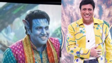 જેમ્સ કેમેરોનની 'અવતાર: ફાયર એન્ડ એશ'માં ગોવિંદાનો કેમિયો છે? જાણો વીડિયોનું સત્ય