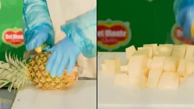 પાઈનેપલ સમારતી ડોમિનિકા ગૈરપારોવા અને ગિનીસ બુક ઓફ વર્લ્ડ રેકોર્ડનો લોગો.