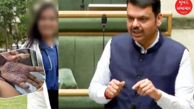 Maharashtra CM Devendra Fadnavis addressing media on verification of a doctor’s suicide note in Phaltan