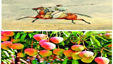 ઝબાન સંભાલ કે: બાર બાપની વેજા અને બારગીર