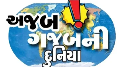 સ્પેનમાં વહેલા આવવા બદલ નોકરી ગુમાવનાર મહિલા, ક્રિકેટર મિચેલ સ્ટાર્ક, લેટવિયામાં ભાડા પર પતિની સેવા અને જાપાનના હિરોકાવા શહેરના સોનેરી ગિન્ગકો વૃક્ષો.