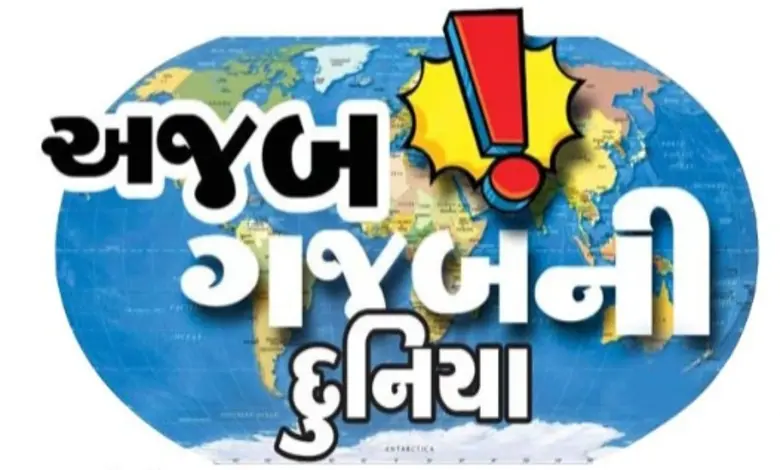 સ્પેનમાં વહેલા આવવા બદલ નોકરી ગુમાવનાર મહિલા, ક્રિકેટર મિચેલ સ્ટાર્ક, લેટવિયામાં ભાડા પર પતિની સેવા અને જાપાનના હિરોકાવા શહેરના સોનેરી ગિન્ગકો વૃક્ષો.