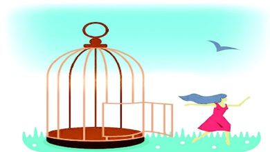 ઉડાન મુગ્ધાવસ્થાથી મધ્યાવસ્થા સુધીઃ પ્રેમના પિંજરથી ઊંચા અવકાશે ઉડાન