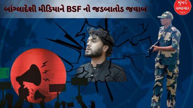 ભારત-બાંગ્લાદેશ સરહદ પર તૈનાત BSF જવાનો અને સુરક્ષા વ્યવસ્થા