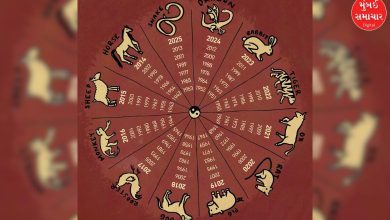 ચીની રાશિફળ 2026: Year of the Horse કઈ રાશિઓનું ભાગ્ય ચમકાવશે? જાણો તમારું ભવિષ્ય....