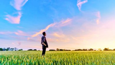 ચિંતનઃ પૂર્ણતાની પૂર્ણતા