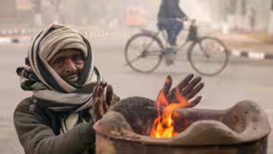 કચ્છમાં દેખો ત્યાં 'ઠાર': નલિયામાં ફરી સિંગલ ડિજિટમાં નોંધાયું તાપમાન