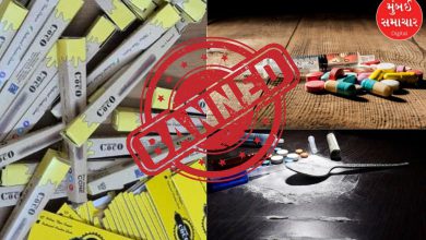Gujarat government took an important decision to stop drug contamination, know the details