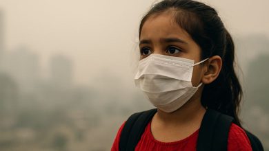 Delhi schools closed due to severe air pollution
