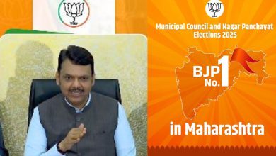 Devendra Fadnavis addressing media after Mahayuti victory