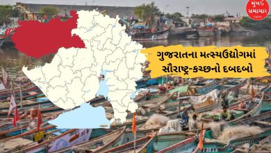 VGRC રાજકોટમાં થશે બ્લૂ રિવોલ્યુશનનું પ્રદર્શનઃ 80 ટકા હિસ્સા સાથે સૌરાષ્ટ્ર-કચ્છ છે ગુજરાતના મત્સ્યઉદ્યોગનું એન્જિન