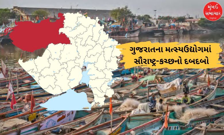 VGRC રાજકોટમાં થશે બ્લૂ રિવોલ્યુશનનું પ્રદર્શનઃ 80 ટકા હિસ્સા સાથે સૌરાષ્ટ્ર-કચ્છ છે ગુજરાતના મત્સ્યઉદ્યોગનું એન્જિન