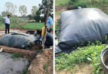 કચરામાંથી કંચન: ગોબરધન યોજનામાં ₹ 5 હજારના રોકાણમાં પશુપાલકોને મળશે અનેક લાભ