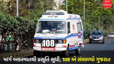Gujarat Commendable performance of 108 emergency service provided in 82.78 lakh cases till November 2025