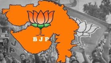 ગુજરાત ભાજપના નવા સંગઠનની થઈ જાહેરાત: યાદીમાં જોવા મળ્યા અનુભવી અને યુવા ચહેરાઓ