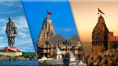 ગુજરાત પ્રવાસન વિકાસ માટે દરેક જિલ્લાને ૧૦ કરોડની ગ્રાન્ટ અને સોસાયટીની રચનાનો નિર્ણય