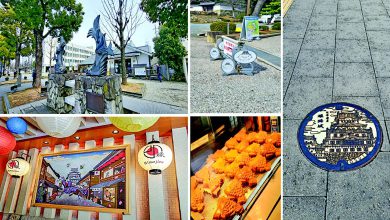 જાપાનના હિમેજી શહેરમાં આવેલો ઐતિહાસિક સફેદ કિલ્લો અને સ્થાનિક સ્ટ્રીટ ફૂડ તૈયાકીની તસવીર.