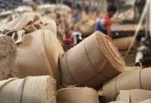 IJMA urges West Bengal government to act as jute sector faces severe crisis due to raw jute pricing