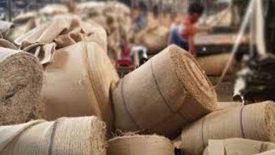 IJMA urges West Bengal government to act as jute sector faces severe crisis due to raw jute pricing