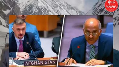 Pakistan's interference in Arunachal, India supports Afghanistan in UN