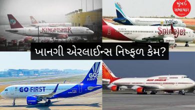 ભારતમાં બંધ થઈ ગયેલી ખાનગી એરલાઇન્સ (ઇસ્ટ-વેસ્ટ, દમાનિયા, કિંગફિશર) ના એરક્રાફ્ટ.