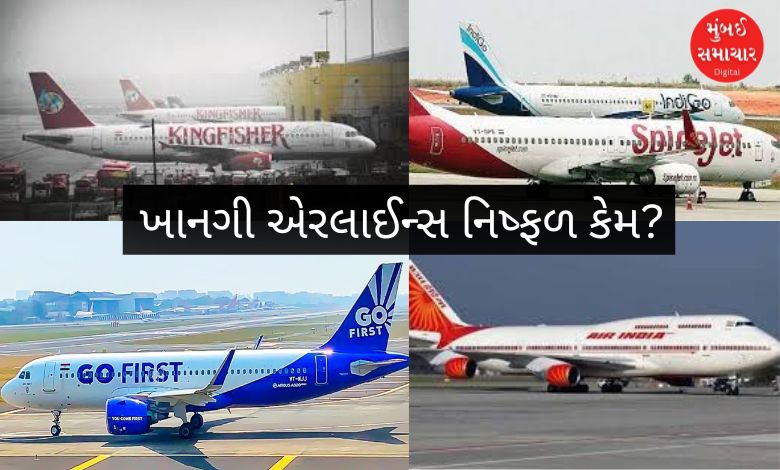 ભારતમાં બંધ થઈ ગયેલી ખાનગી એરલાઇન્સ (ઇસ્ટ-વેસ્ટ, દમાનિયા, કિંગફિશર) ના એરક્રાફ્ટ.