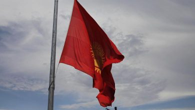 Video: કિર્ગિસ્તાનમાં ભારતીય શ્રમિકો સાથે 'પ્રાણીઓ જેવો' વ્યવહાર, મોદી સરકારને કરી આ અપીલ