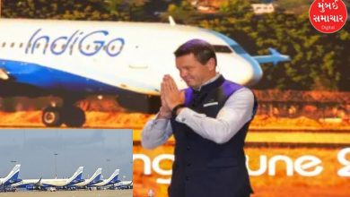 End of Indigo Airlines crisis! Aatli flights started again, CEO gave a big statement