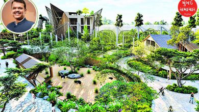 A state-of-the-art international standard bird park will be built in Mulund.