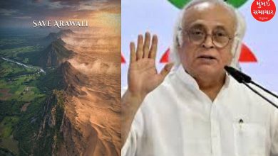 Protest over Aravalli range environmental issue