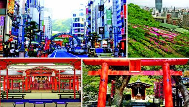 અરાઉન્ડ ધ વર્લ્ડઃ કોબેમાં શૂઝ ને વ્યૂઝની મજા...