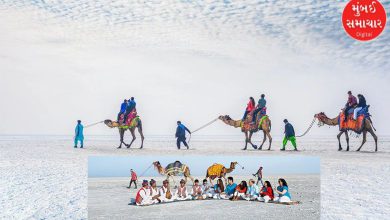 Kutch: The mercury in Naliya plummeted to 9 degrees, the deadly cold began in 'torture'