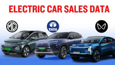 ૨૦૨૫માં EV વેચાણના આંકડા, ટાટા મોટર્સ, MG અને મહિન્દ્રાનો માર્કેટ શેર