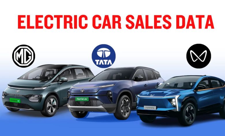 ૨૦૨૫માં EV વેચાણના આંકડા, ટાટા મોટર્સ, MG અને મહિન્દ્રાનો માર્કેટ શેર