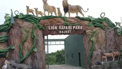 રાજકોટમાં પ્રદ્યુમન પાર્ક ઝૂ પાસે બની રહેલો નવો લાયન સફારી પાર્ક ઉનાળામાં શરૂ થશે.
