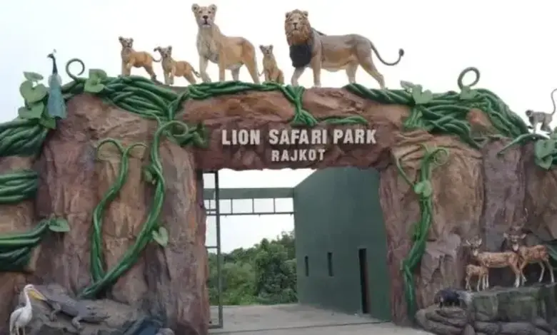 રાજકોટમાં પ્રદ્યુમન પાર્ક ઝૂ પાસે બની રહેલો નવો લાયન સફારી પાર્ક ઉનાળામાં શરૂ થશે.