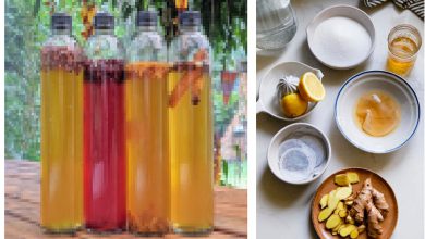 સ્વાસ્થ્ય સુધાઃ પાચનતંત્રને મજબૂત બનાવતું મસ્તમજાનું હર્બલ પીણું એટલે જ કોમ્બુચા